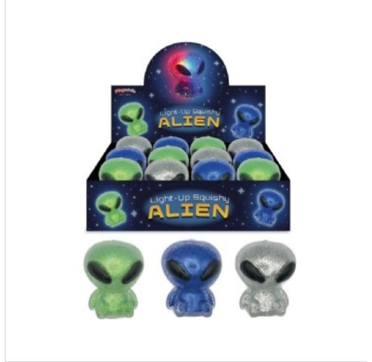5 item Sensory mystery squishy bundle
